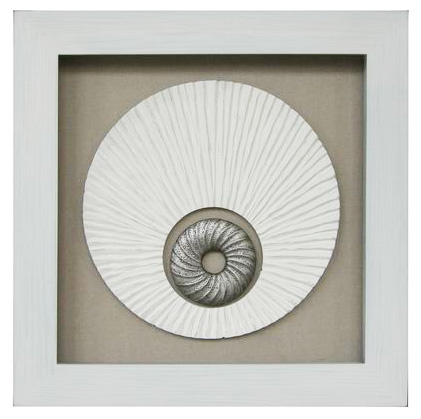 MS008 Wall Décor objet d art box framed object with glass